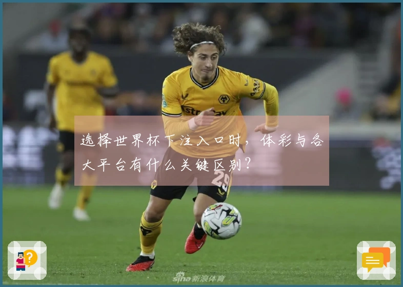 选择世界杯下注入口时，体彩与各大平台有什么关键区别？