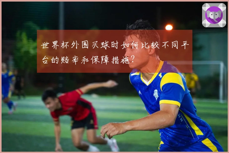 世界杯外围买球时如何比较不同平台的赔率和保障措施？