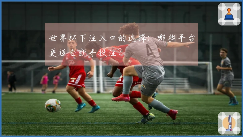 世界杯下注入口的选择：哪些平台更适合新手投注？