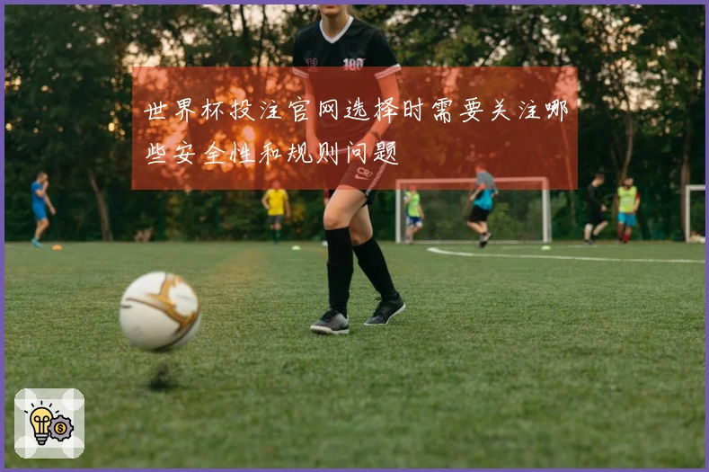 世界杯投注官网选择时需要关注哪些安全性和规则问题