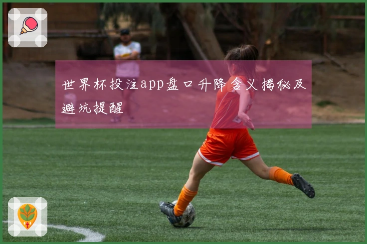 世界杯投注app盘口升降含义揭秘及避坑提醒