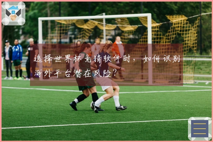 选择世界杯竞猜软件时，如何识别海外平台潜在风险？