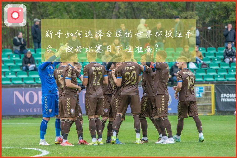 新手如何选择合适的世界杯投注平台，做好比赛日下注准备？