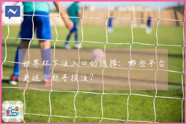 世界杯下注入口的选择：哪些平台更适合新手投注？