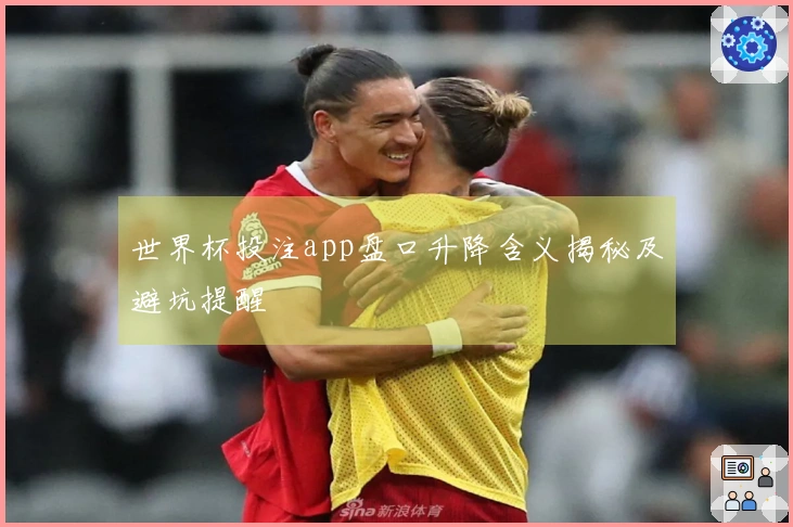 世界杯投注app盘口升降含义揭秘及避坑提醒