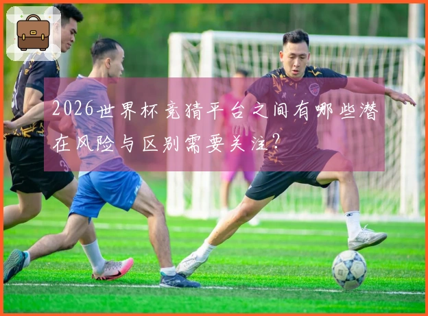 2026世界杯竞猜平台之间有哪些潜在风险与区别需要关注？