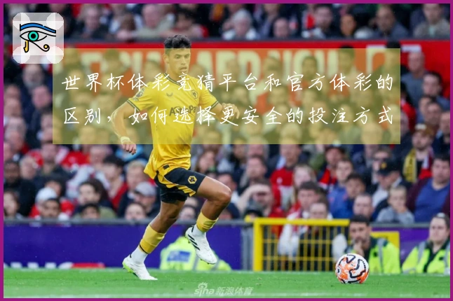 世界杯体彩竞猜平台和官方体彩的区别，如何选择更安全的投注方式