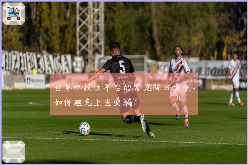 世界杯投注平台的常见踩坑案例，如何避免上当受骗？