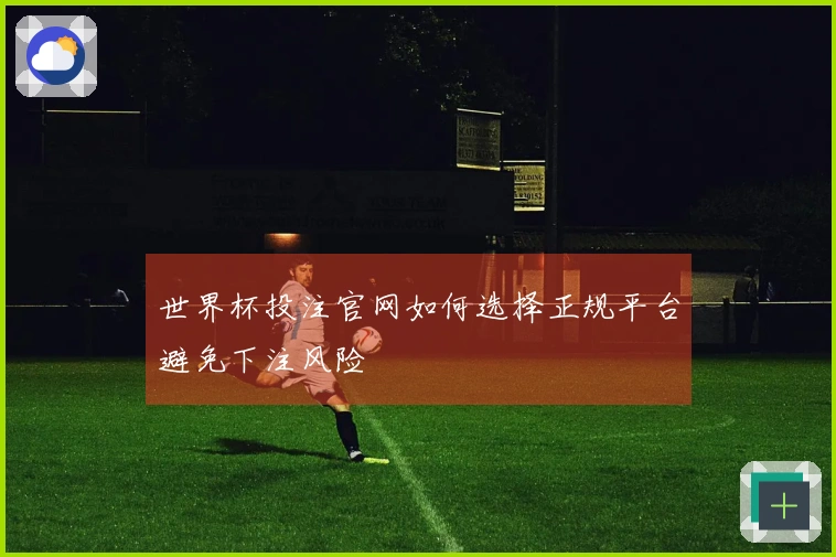 世界杯投注官网如何选择正规平台避免下注风险