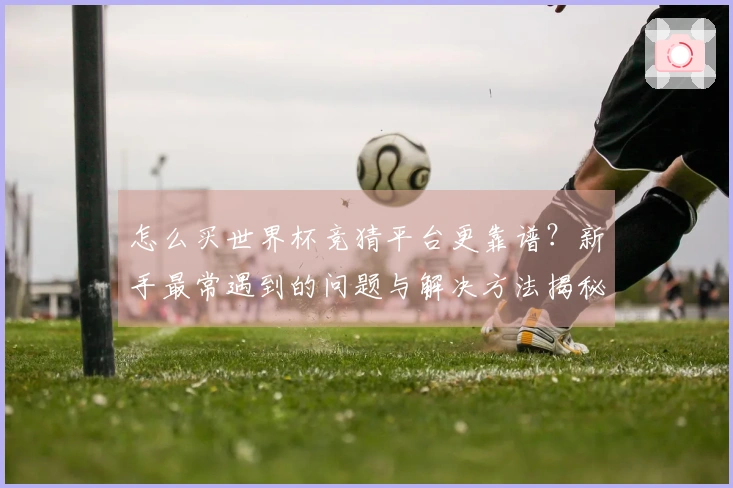 怎么买世界杯竞猜平台更靠谱？新手最常遇到的问题与解决方法揭秘