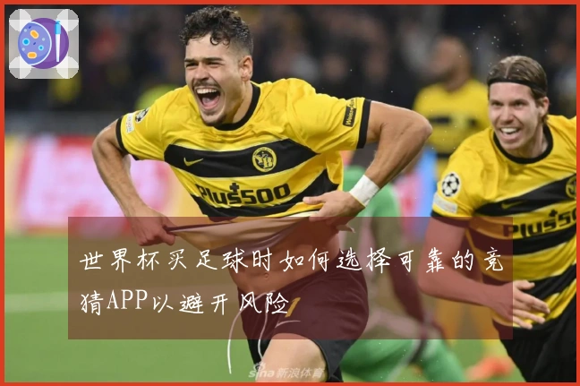 世界杯买足球时如何选择可靠的竞猜APP以避开风险