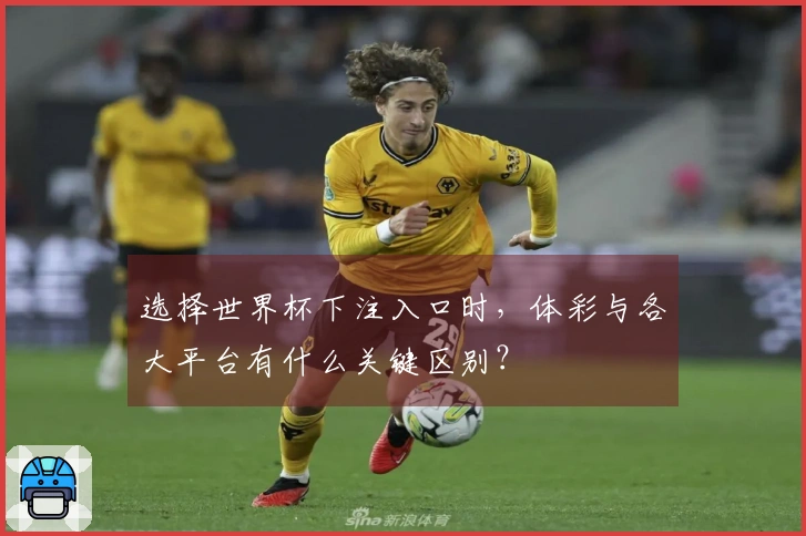 选择世界杯下注入口时，体彩与各大平台有什么关键区别？