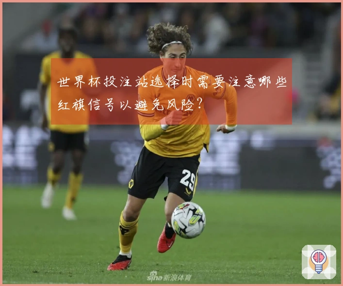 世界杯投注站选择时需要注意哪些红旗信号以避免风险？